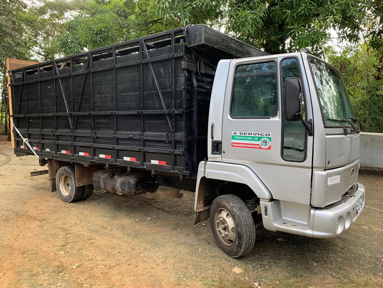 Prefeitura de Pinda realiza serviço de captura de animais de grande porte em vias públicas
