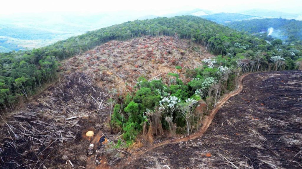 Desmatamento sobe 8,5% na Amazônia, aponta Inpe