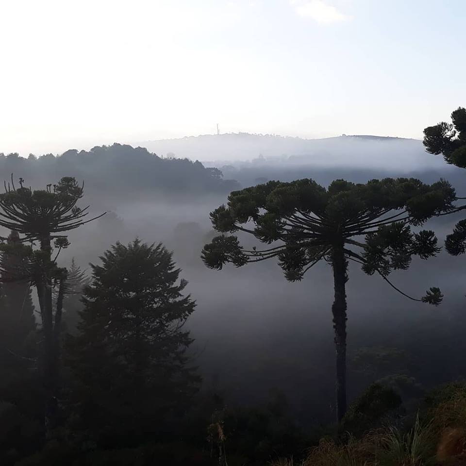 Temperaturas devem continuar baixas na RMVale nos próximos dias