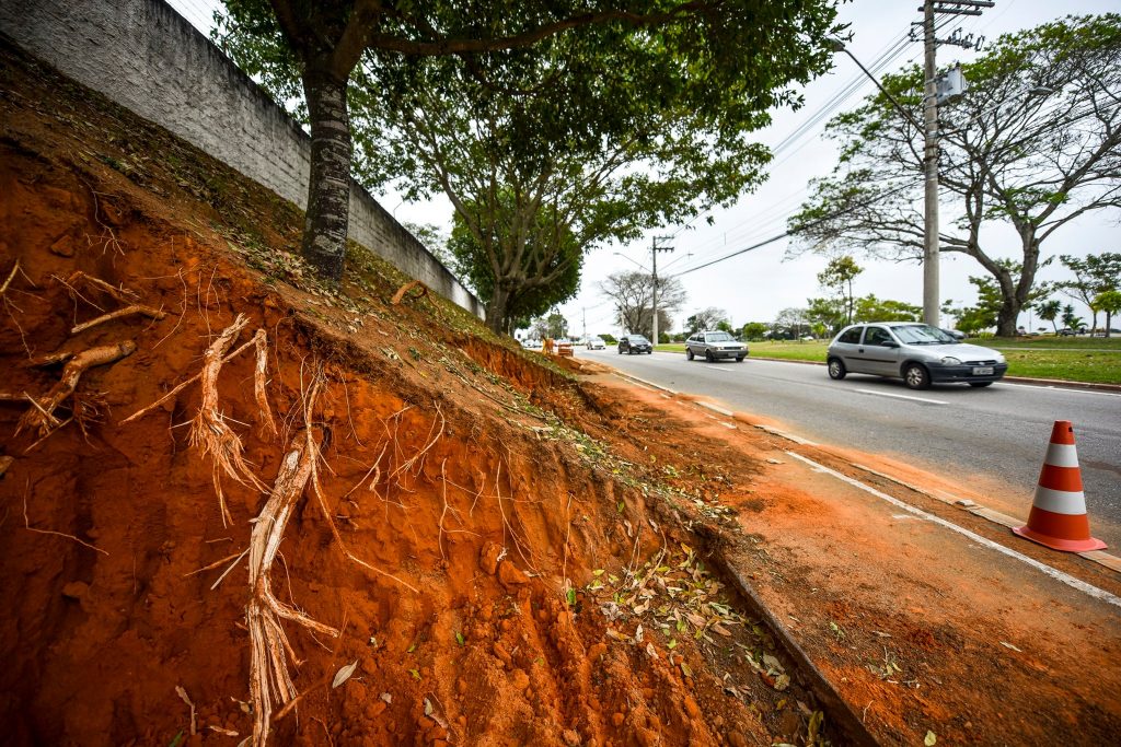 MP vai apurar irregularidades no corte de árvores na avenida dos Astronautas