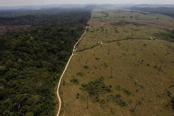 Alemanha corta verba de projetos em defesa da Amazônia