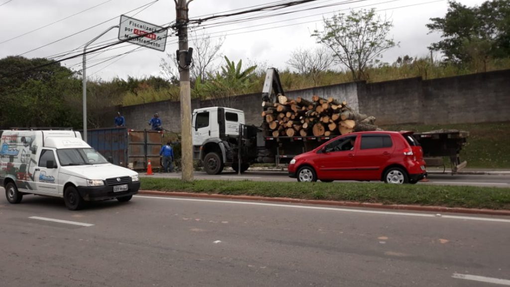 Cortes de árvores da nova ciclovia na avenida dos Astronautas assusta moradores