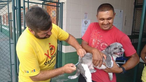 Prefeitura de Taubaté inicia bloqueio vacinal contra raiva