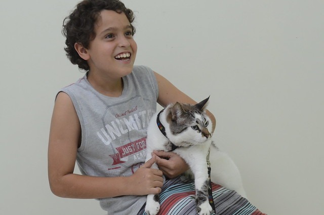 Feira de adoção de animais acontece no próximo sábado no CCZ de São José