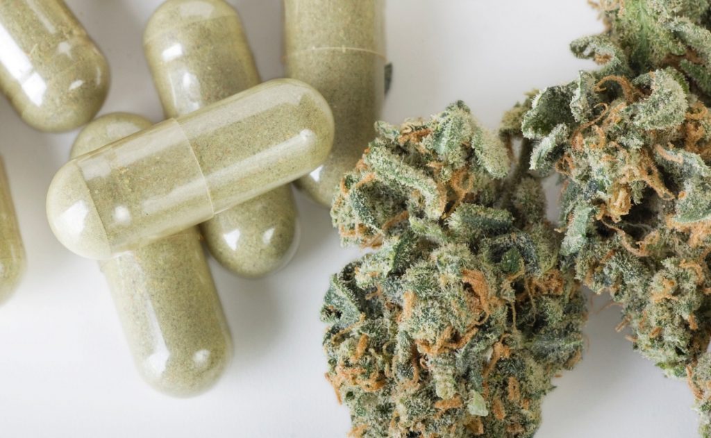 Liberação do uso da maconha medicinal tramitará como projeto de lei no Senado
