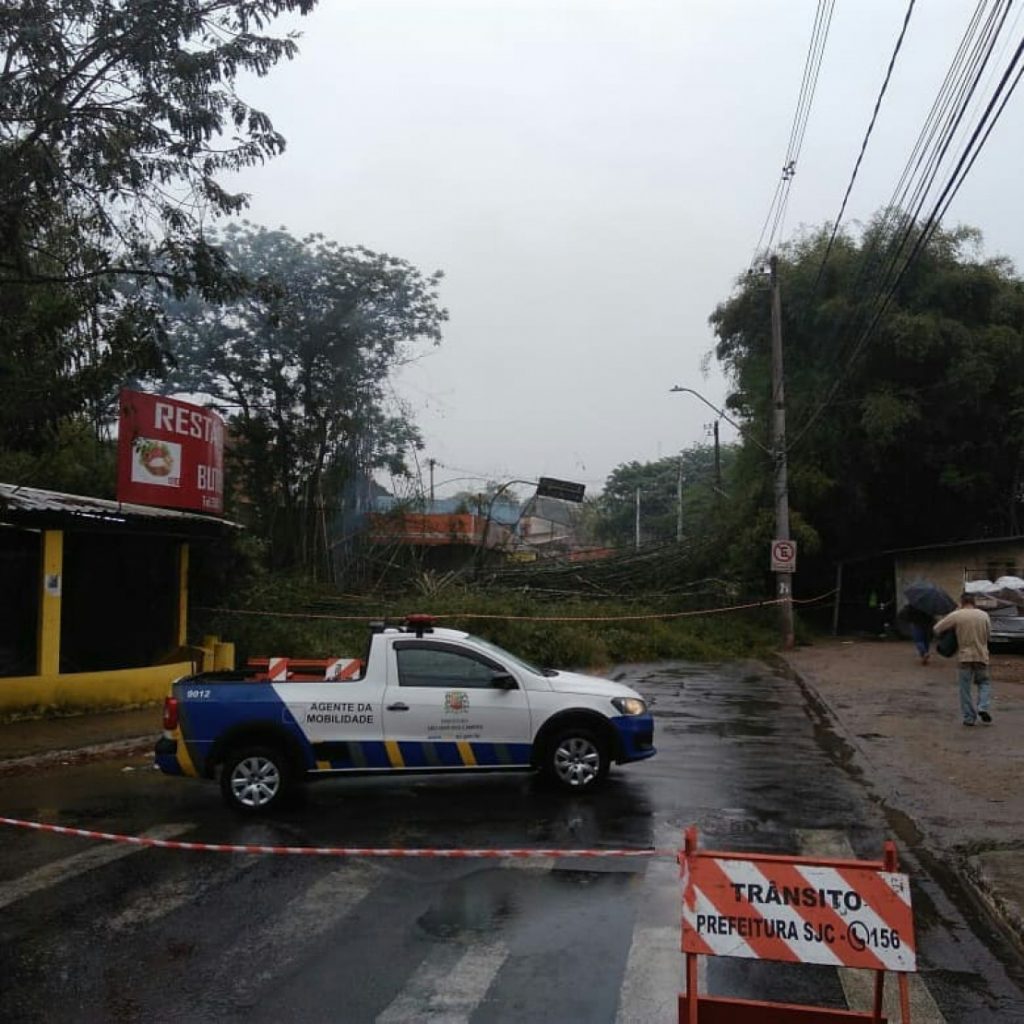 Queda de bambuzal interdita estrada no Bairrinho, em São José