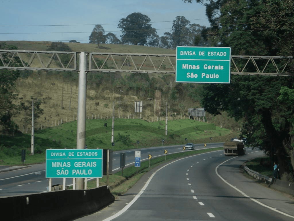São Paulo e Minas Gerais vendem metade dos carros