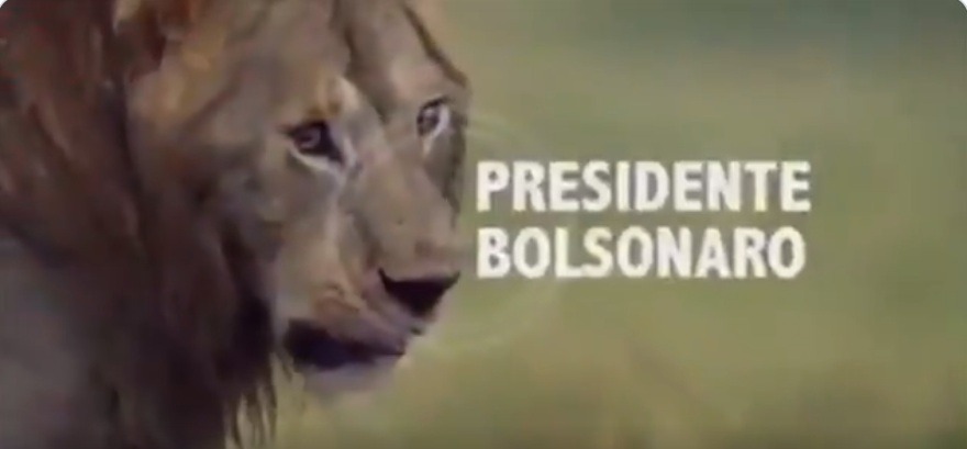 Presidente Bolsonaro publica vídeo em que é "leão" alvo do STF, imprensa e PSL