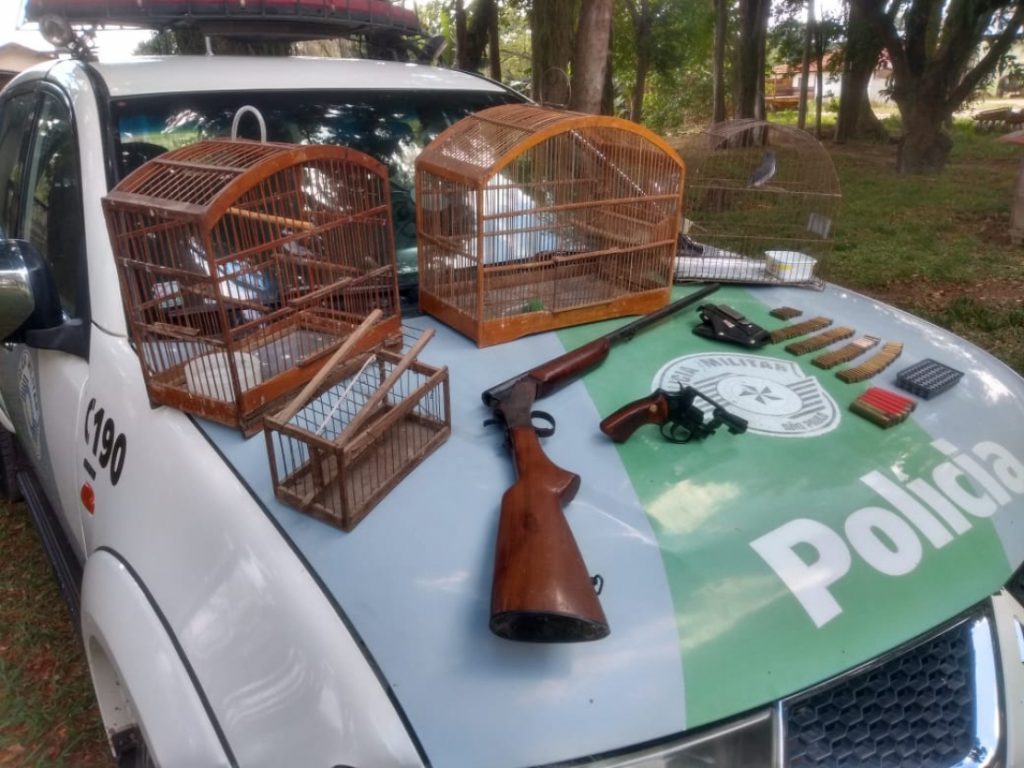 Polícia Ambiental apreende armas e aves mantidas em cativeiro em Pindamonhangaba