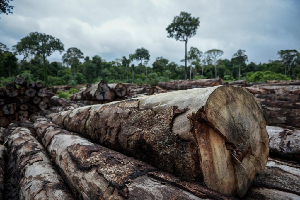 Desmatamento na Amazônia cresce 29,5% em 12 meses, maior taxa desde 2008
