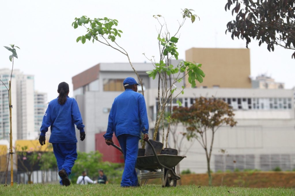 São José teve mais de 6 mil árvores plantadas em 2019, afirma prefeitura