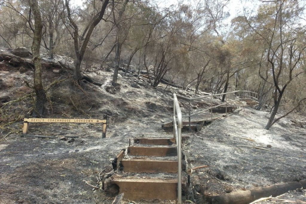 Número de mortos em incêndio na Austrália sobe para 23