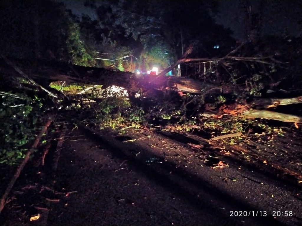Queda de árvore deixa moradores sem energia e interdita Rodovia em São José dos Campos