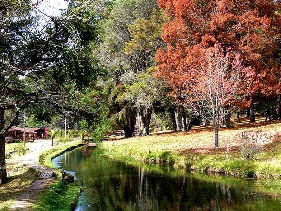 Governo determina fechamento do Horto Florestal em Campos do Jordão
