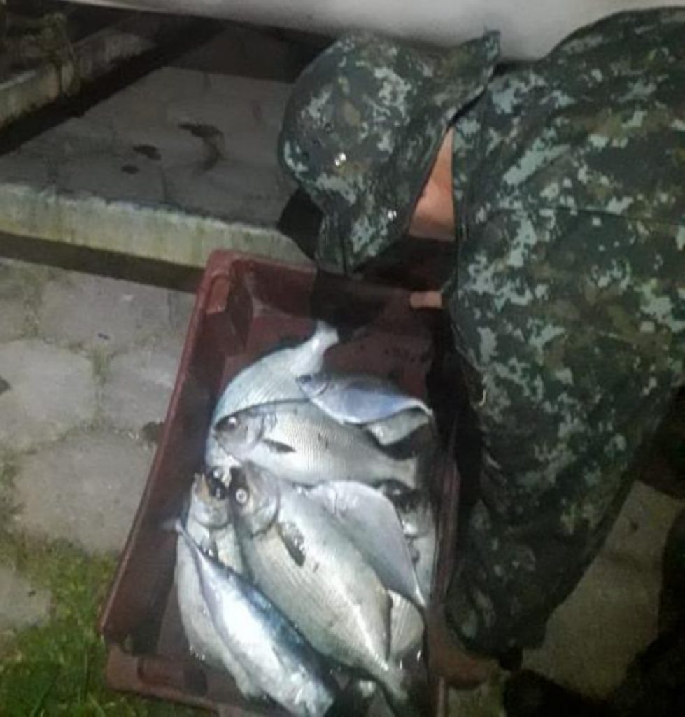 Grupo é autuado em R$ 3,1 milhões após pescar em local proibido em Ilhabela