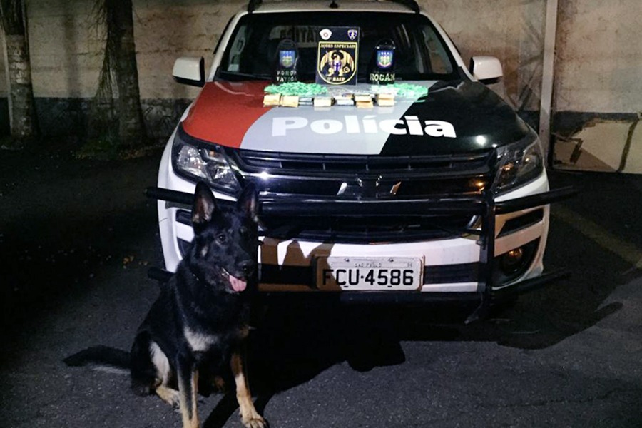 Polícia Militar apreende Cocaína e cerca de R$ 17 mil em operação realizada em Pindamonhangaba