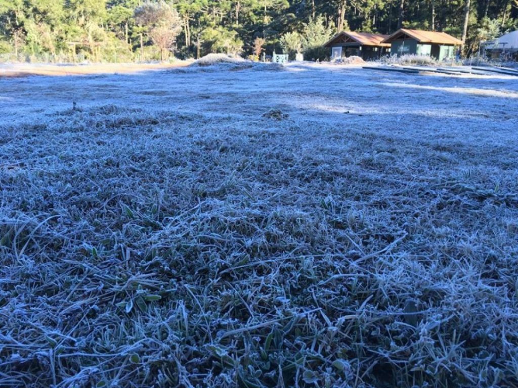 Campos do Jordão registra -0,4ºC e amanhece coberta por geada