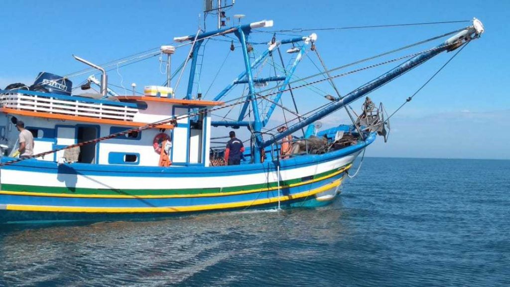 Operação apreende três toneladas de pesca irregular de camarão em São Sebastião