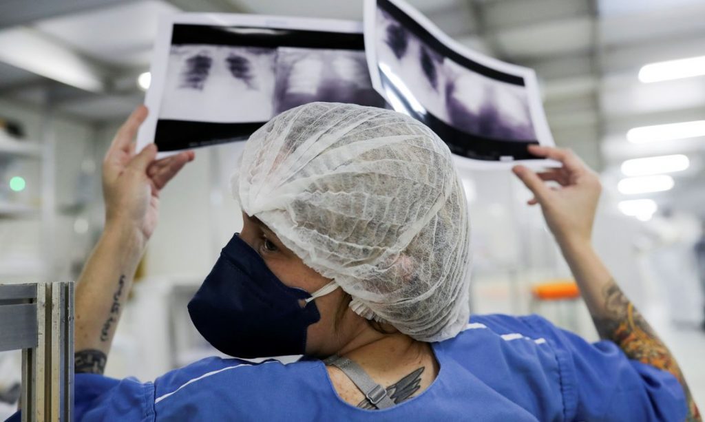 Brasil registra 3,6 milhões de casos de Covid-19 e 114,7 mil mortes
