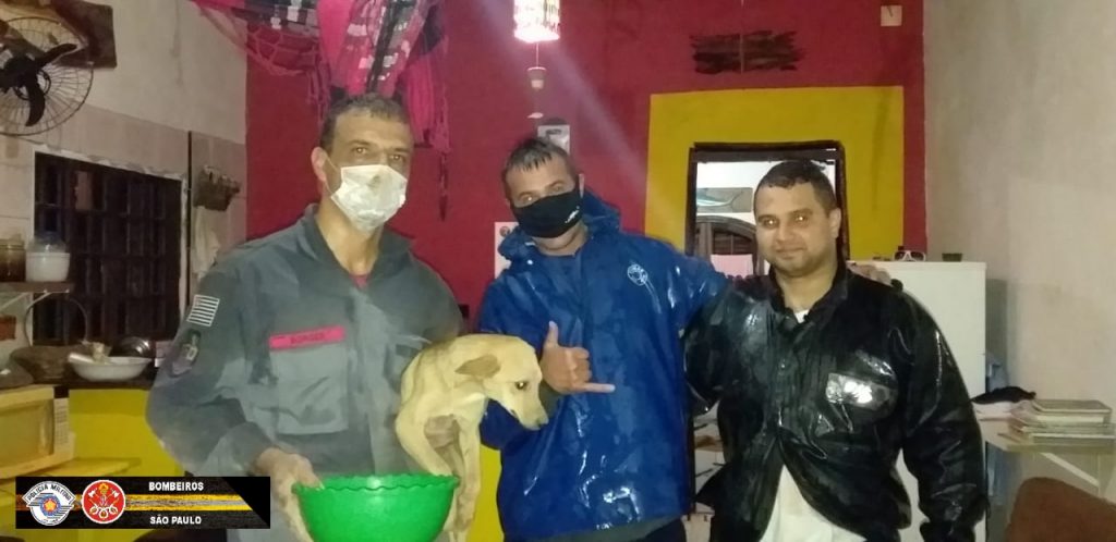 Bombeiros resgatam cachorro preso entre paredes em São Sebastião