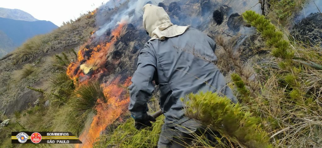 Com 31 ocorrências em julho, Defesa Civil de Guaratinguetá emite alerta para aumento nas queimadas