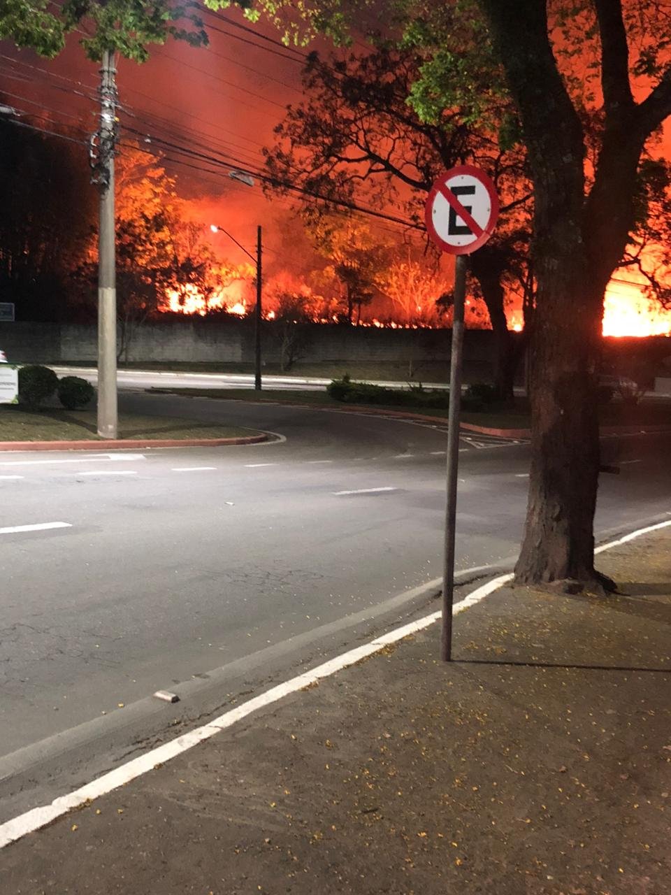 Incêndio atinge área de mata no DCTA em São José