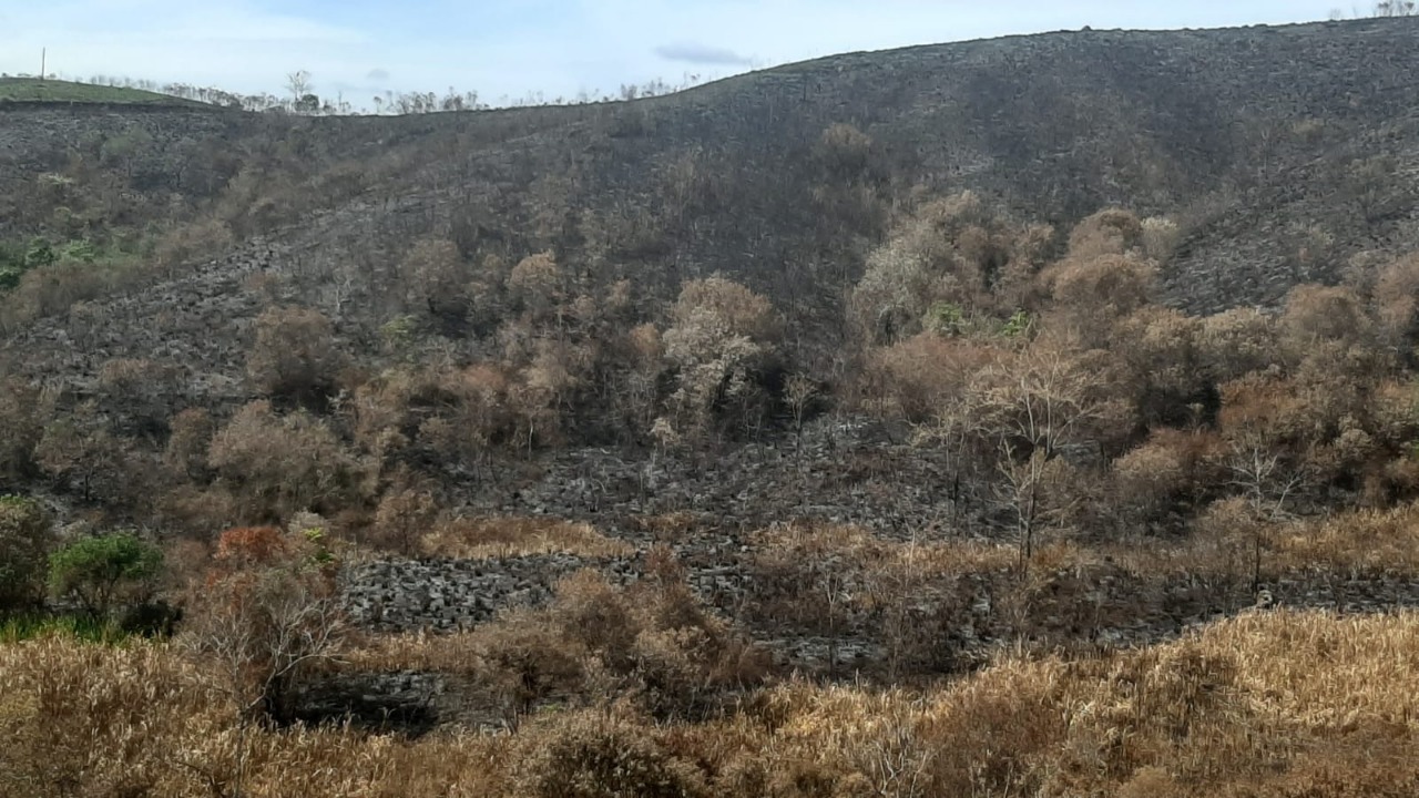 Mulher é multada em R$ 23,9 após ser acusada de causar queimada em matagal em Lagoinha