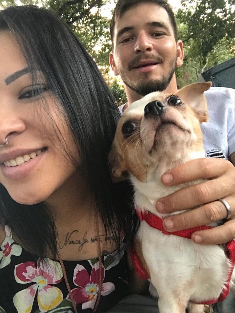 Dona de chihuahua desaparecido oferece carro como recompensa para quem o encontrar