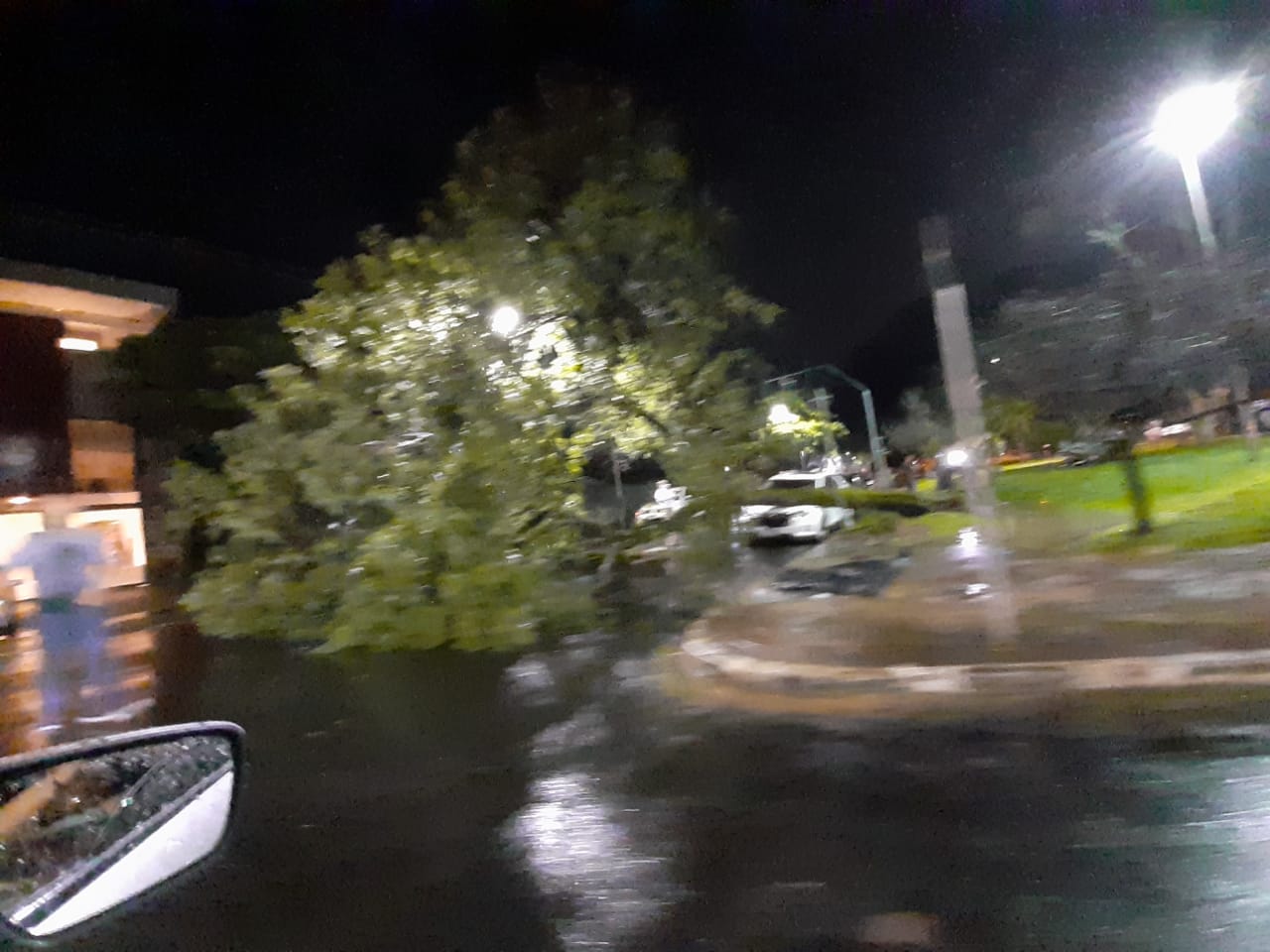 Árvore cai em cima de carro em avenida de São José dos Campos