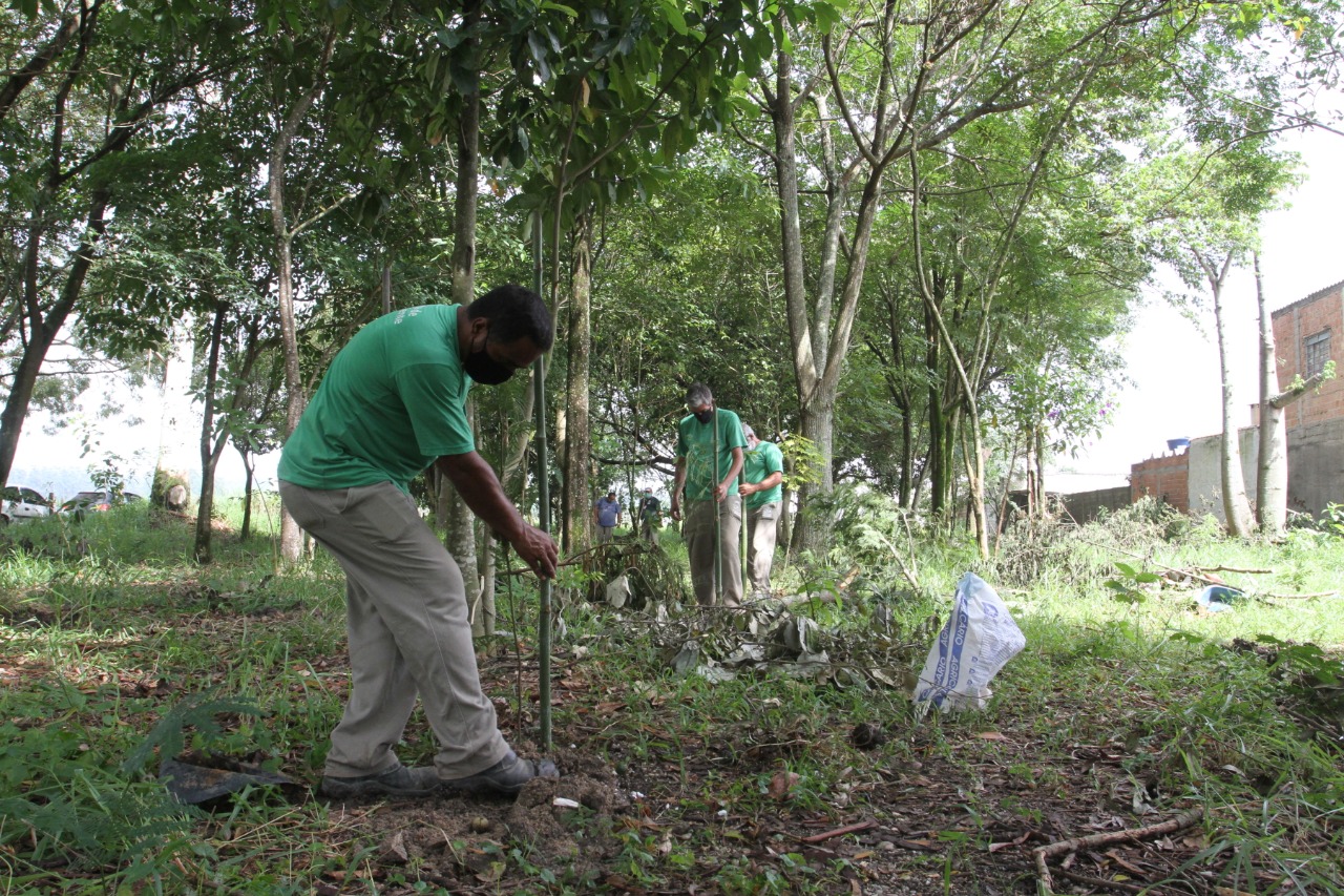 Parque Meia Lua recebe 900 novas mudas de árvores em Jacareí