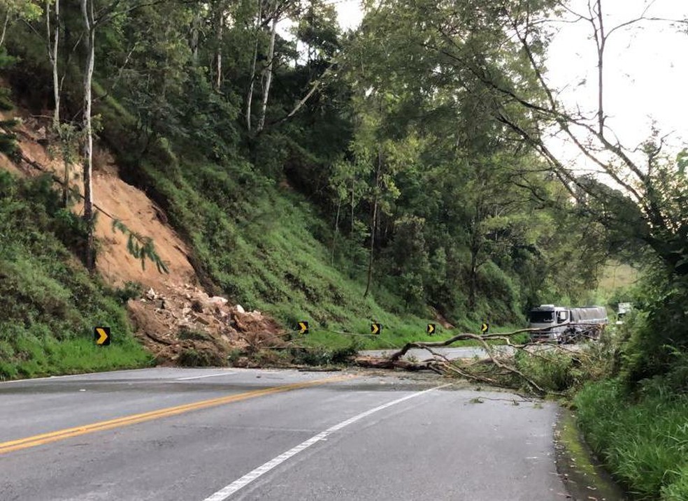 Rodovia SP-123 é liberada após queda de árvore em Campos do Jordão