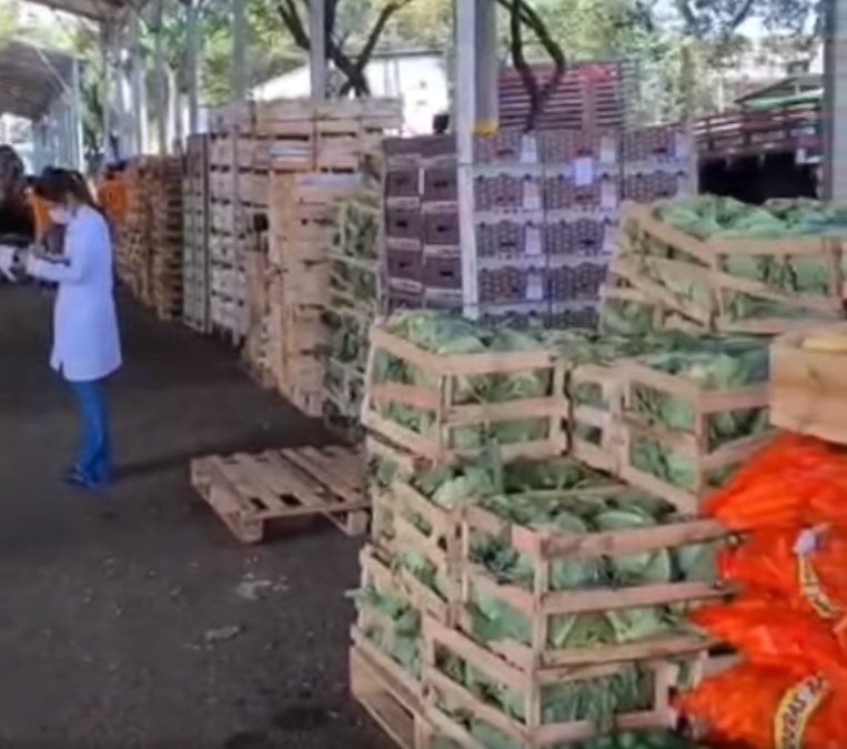 Comerciantes da Ceagesp realizam doação de 200 toneladas de alimentos para Aparecida