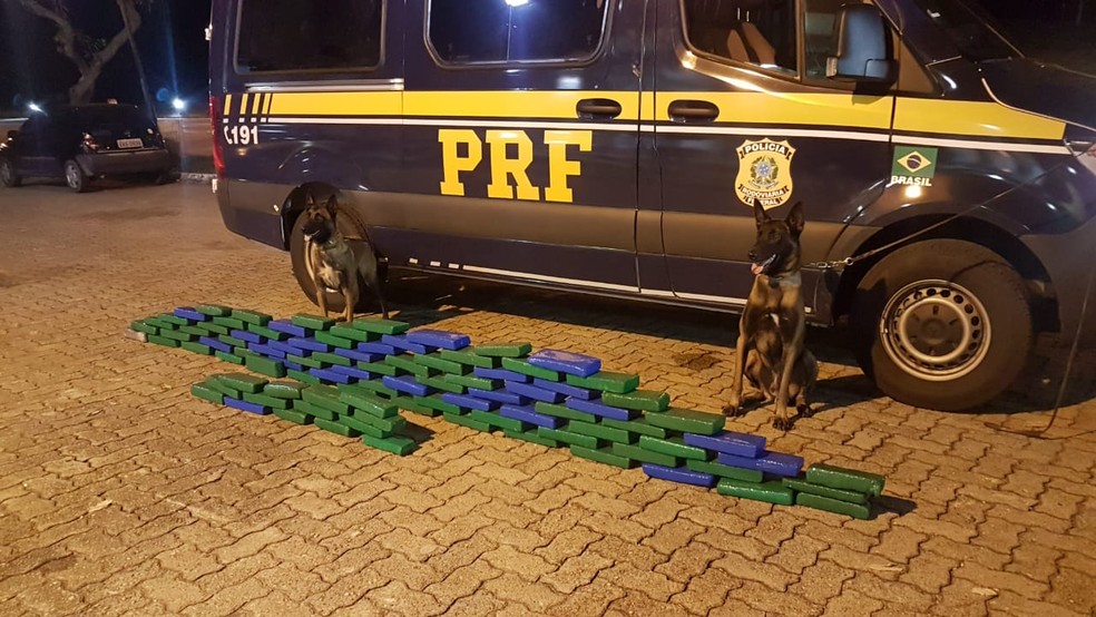 Passageira de ônibus é presa com drogas escondidas em bagagem na Dutra em Lavrinhas