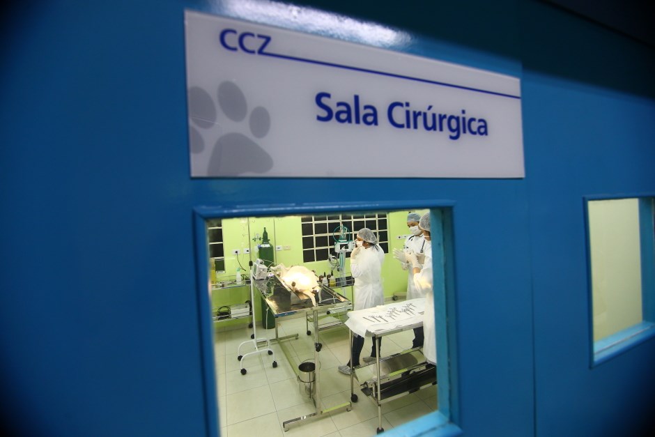 Castrações pelo ‘Meu Pet Feliz’ e o programa Casa Limpa são cancelados após temporal em São José dos Campos