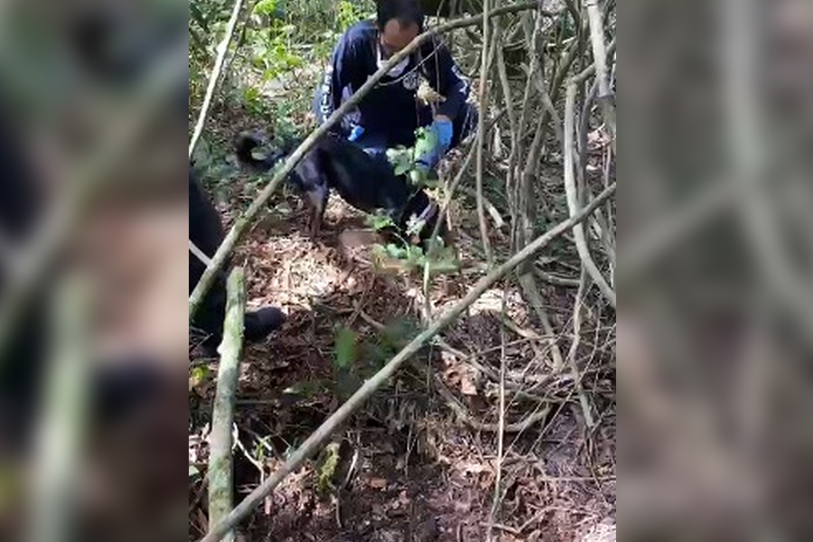 Mulher e amante são presos suspeitos de matar marido em São José dos Campos