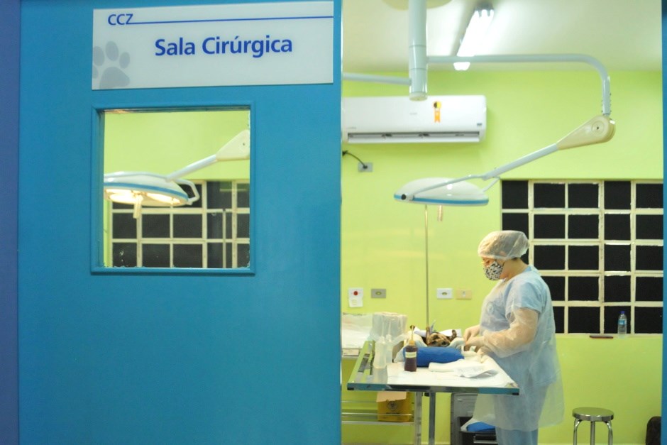 São José dos Campos abre mais 1.000 vagas para castração de cães e gatos