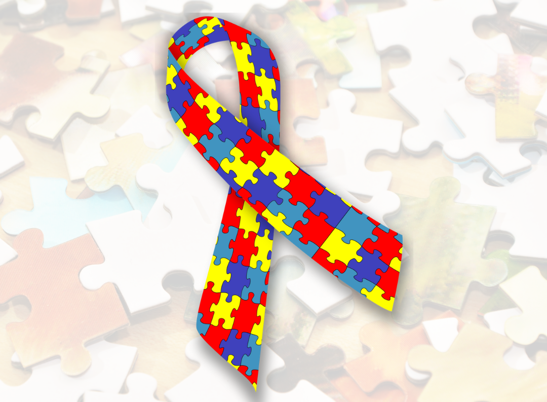 Câmara de Caraguatatuba aprova projeto que institui Carteira de Identificação para autistas