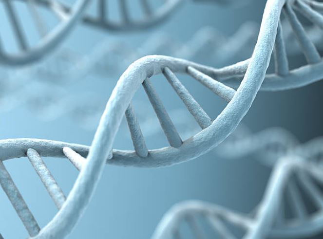 Governo lança campanha de DNA para encontrar pessoas desaparecidas