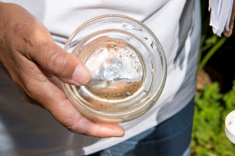 Mutirões contra o Aedes Aegypti visitam imóveis em Ubatuba