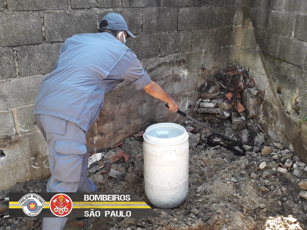Bombeiros capturam cobra venenosa Jararacuçu em quintal de casa em São Sebastião