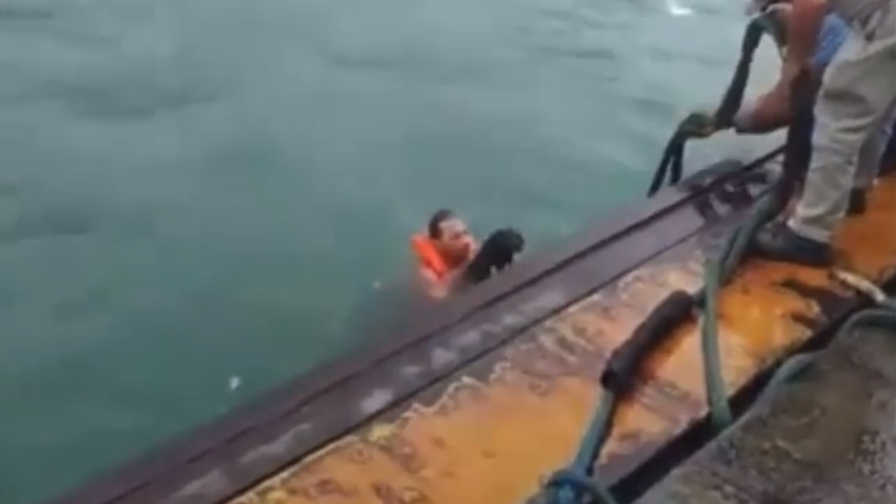 Funcionário pula de Balsa para salvar cachorro em canal entre São Sebastião e Ilhabela