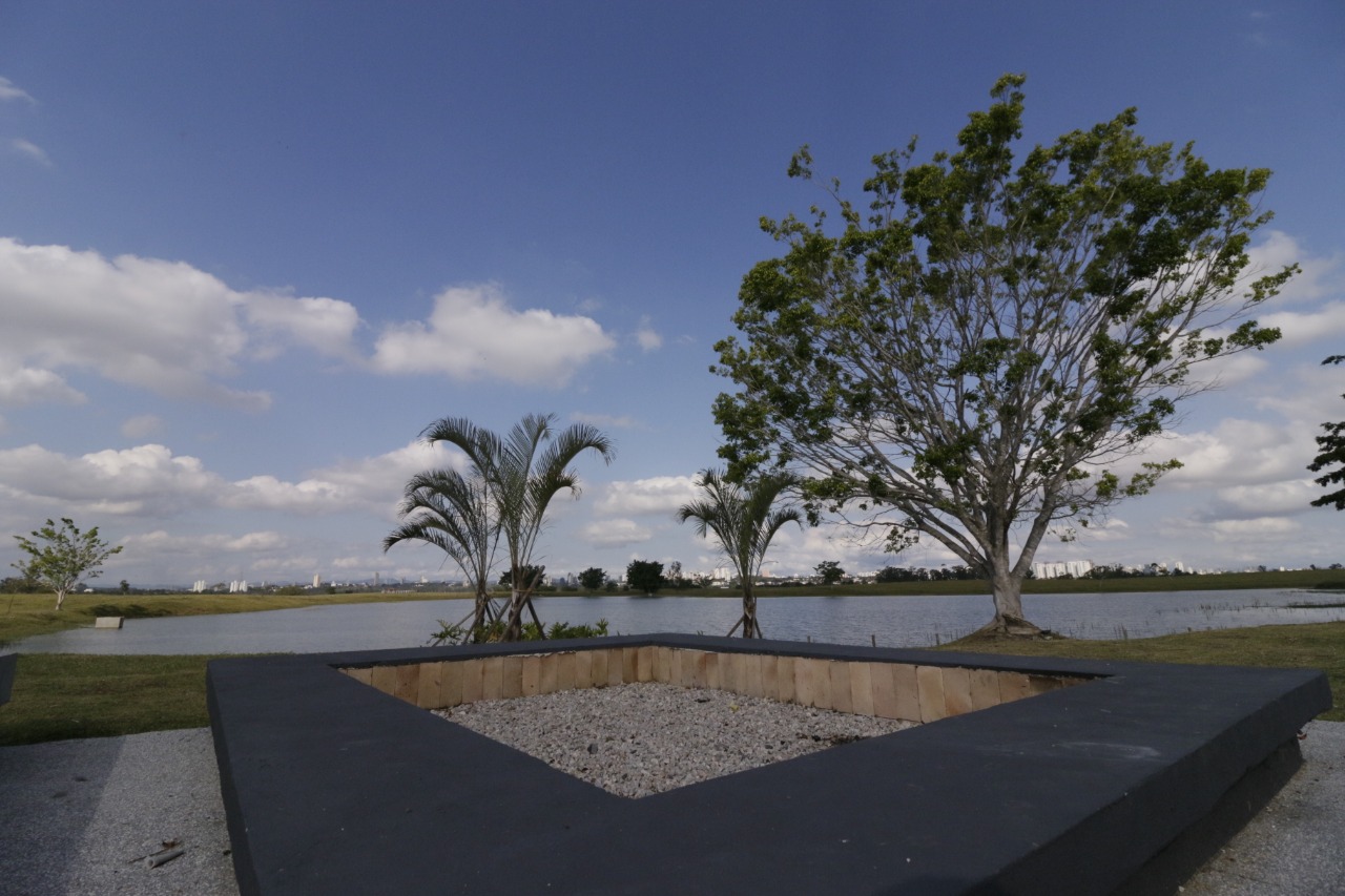 Escolas de São José dos Campos plantam mudas de árvores em novo espaço de evento