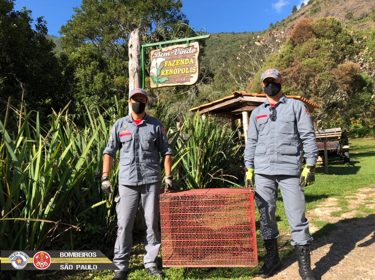 Macaco é resgatado em Campos do Jordão