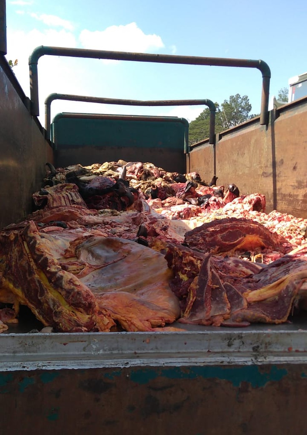 Trio é preso transportando carne clandestina em caminhão em Pindamonhangaba