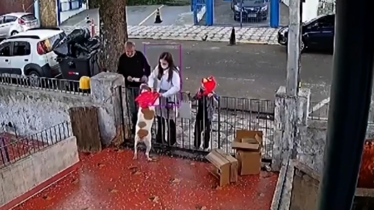 Homem rouba roupa de cachorra no portão de casa em Sorocaba