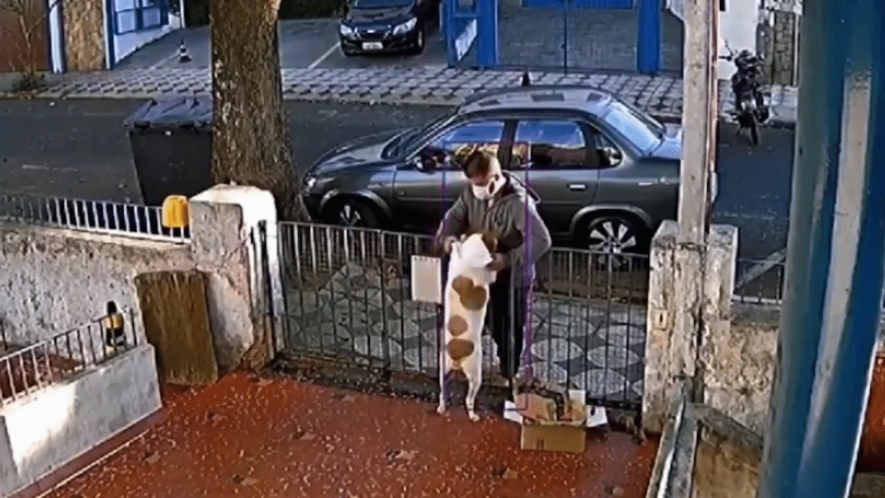 Homem rouba roupa de cachorra no portão de casa em Sorocaba