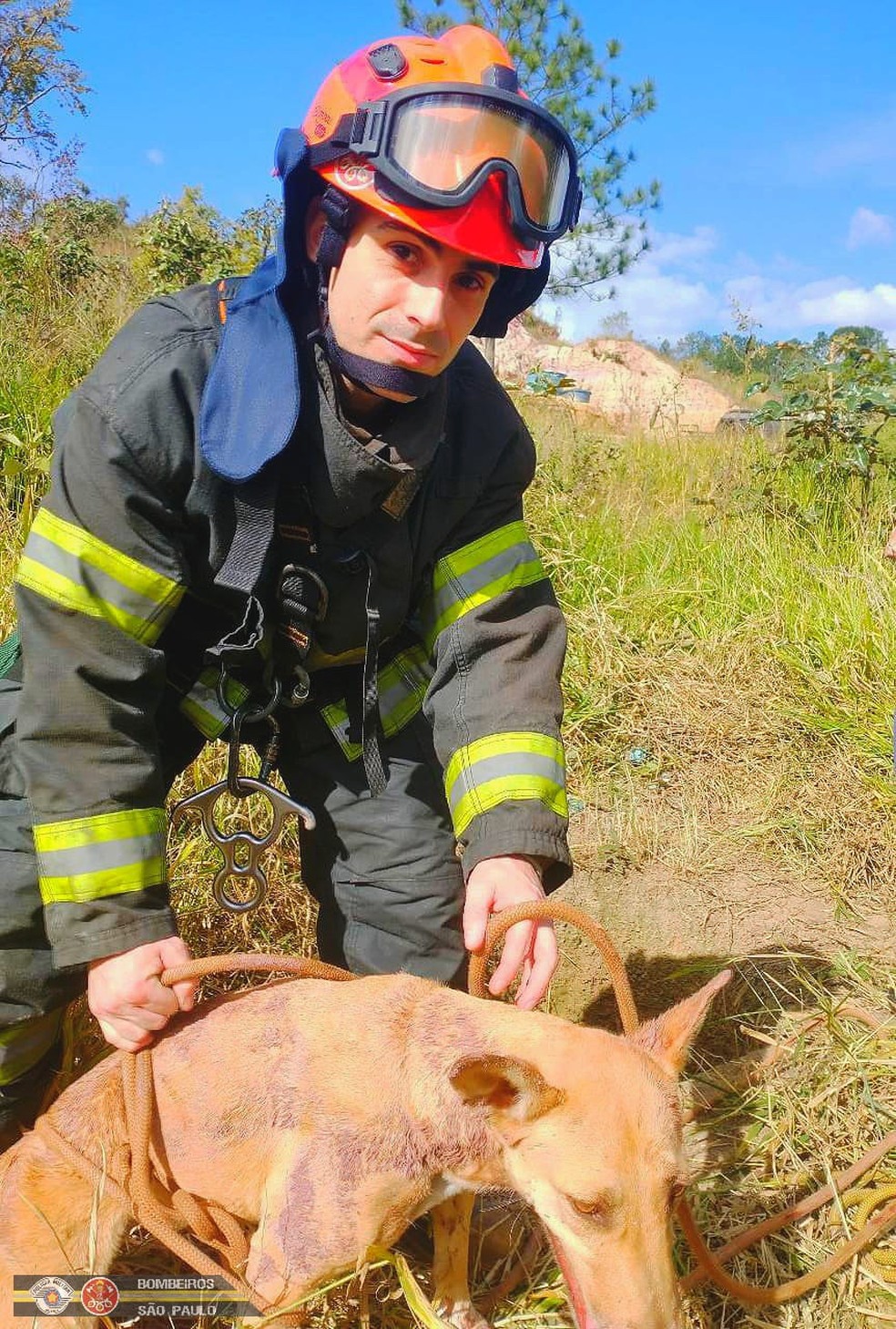 Cachorro é resgatado após cair em poço na zona rural de São José dos Campos
