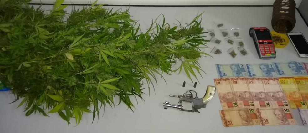 Adolescente é apreendido com arma e pés de maconha em Jacareí