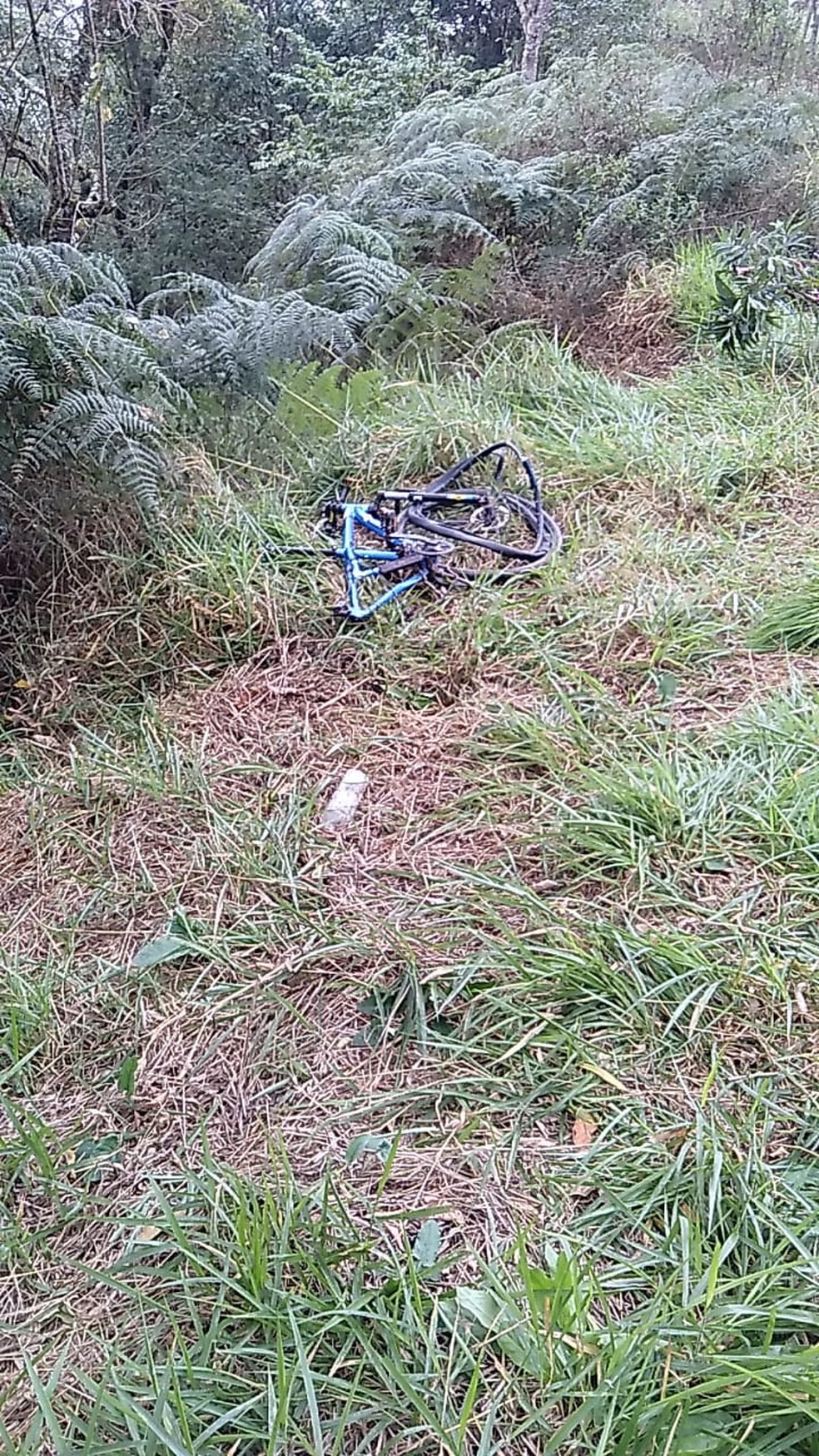 Ciclista morre atropelado por caminhonete na Rodovia Floriano Rodrigues Pinheiros em Pindamonhangaba