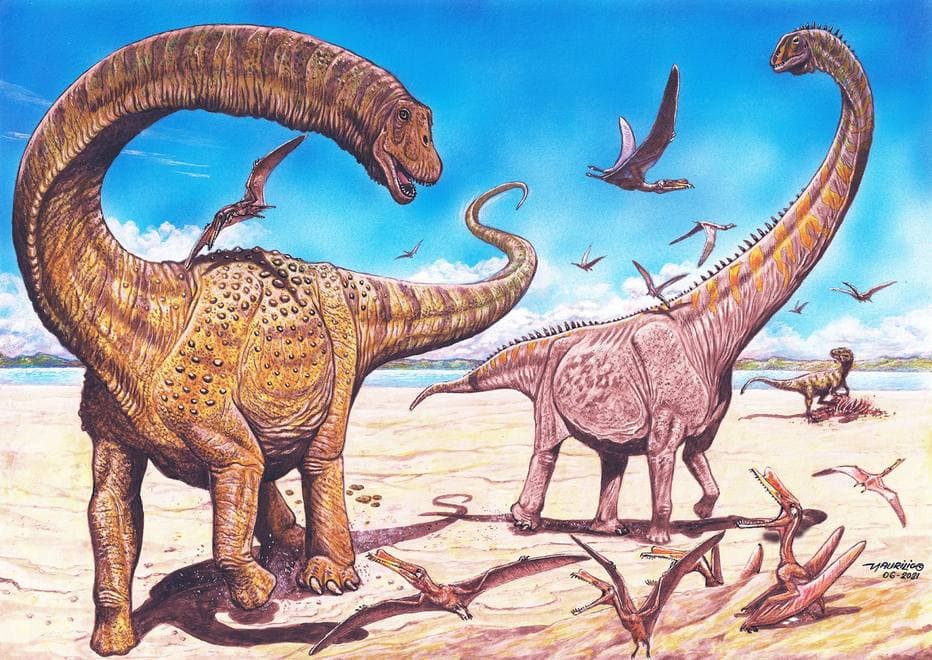 Cientistas descobrem duas novas espécies de dinossauro na China